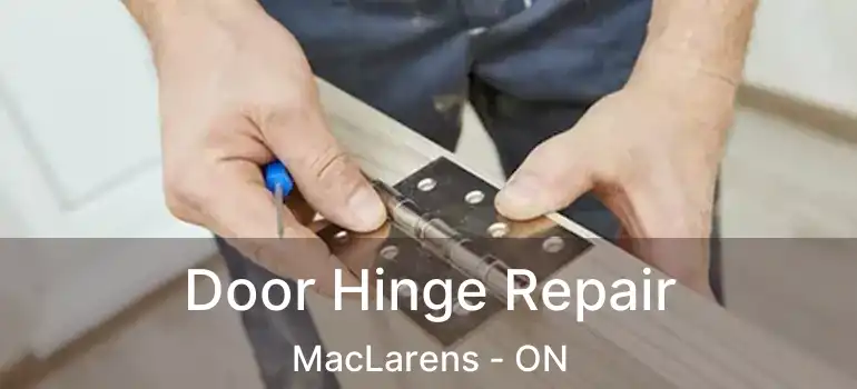  Door Hinge Repair MacLarens - ON