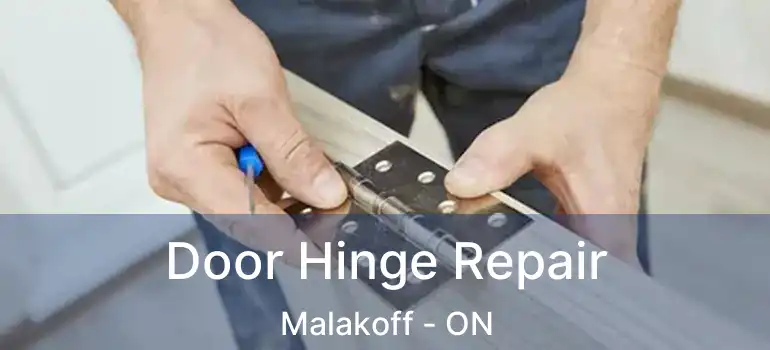  Door Hinge Repair Malakoff - ON