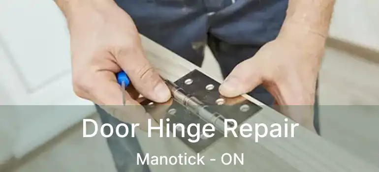 Door Hinge Repair Manotick - ON