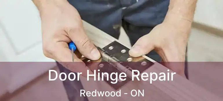  Door Hinge Repair Redwood - ON