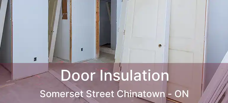  Door Insulation Somerset Street Chinatown - ON
