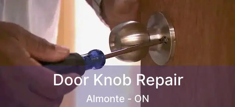 Door Knob Repair Almonte - ON
