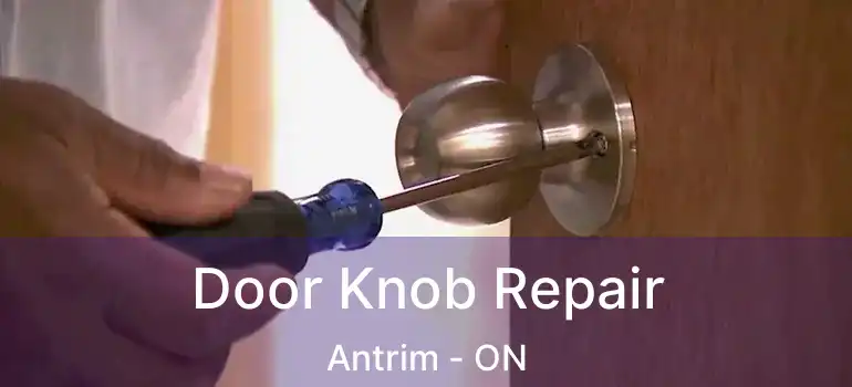  Door Knob Repair Antrim - ON