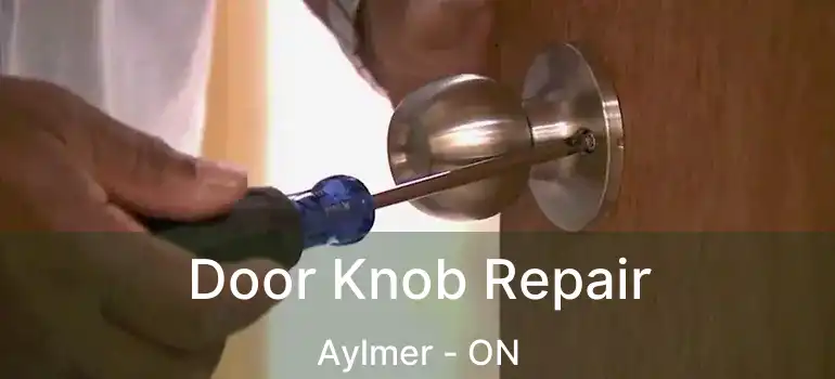 Door Knob Repair Aylmer - ON