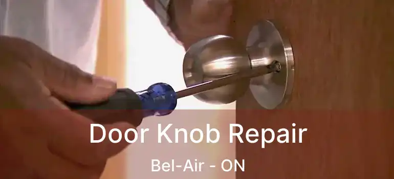  Door Knob Repair Bel-Air - ON
