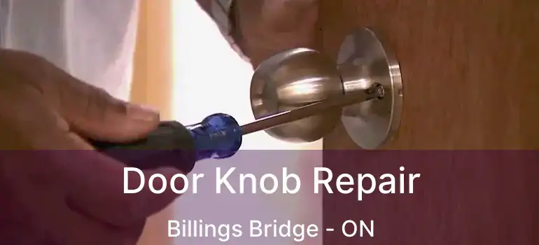 Door Knob Repair Billings Bridge - ON