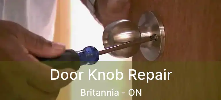 Door Knob Repair Britannia - ON
