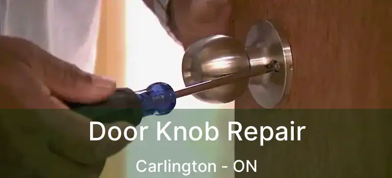 Door Knob Repair Carlington - ON