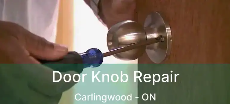  Door Knob Repair Carlingwood - ON