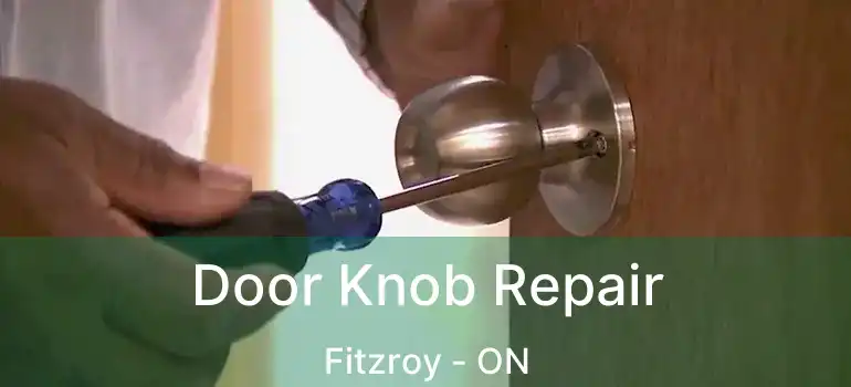 Door Knob Repair Fitzroy - ON