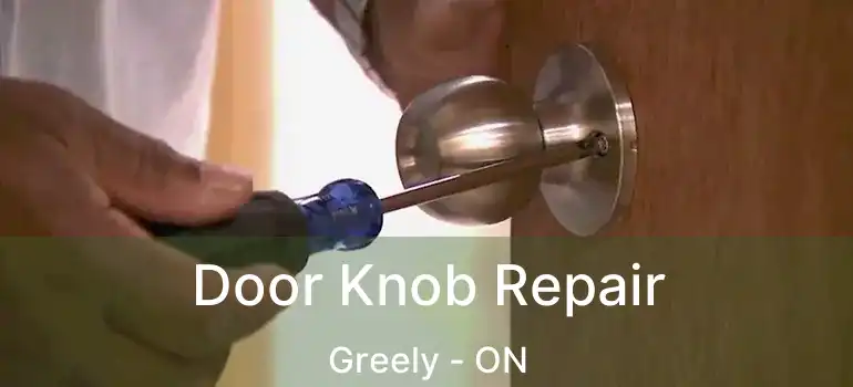 Door Knob Repair Greely - ON