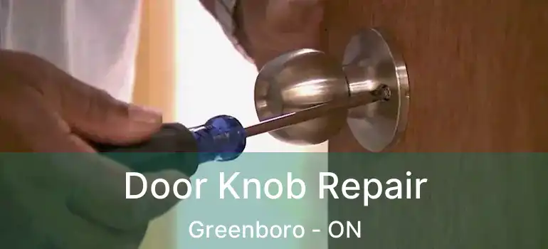  Door Knob Repair Greenboro - ON