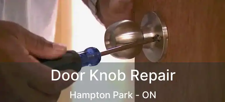 Door Knob Repair Hampton Park - ON