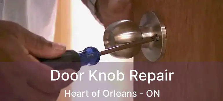 Door Knob Repair Heart of Orleans - ON