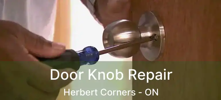 Door Knob Repair Herbert Corners - ON