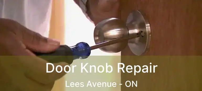  Door Knob Repair Lees Avenue - ON