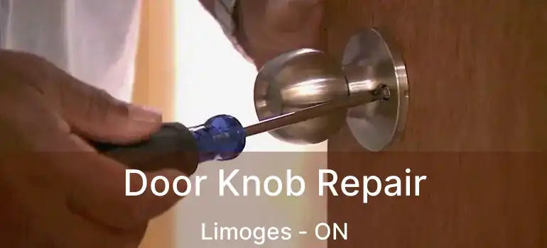 Door Knob Repair Limoges - ON