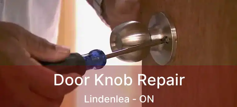 Door Knob Repair Lindenlea - ON