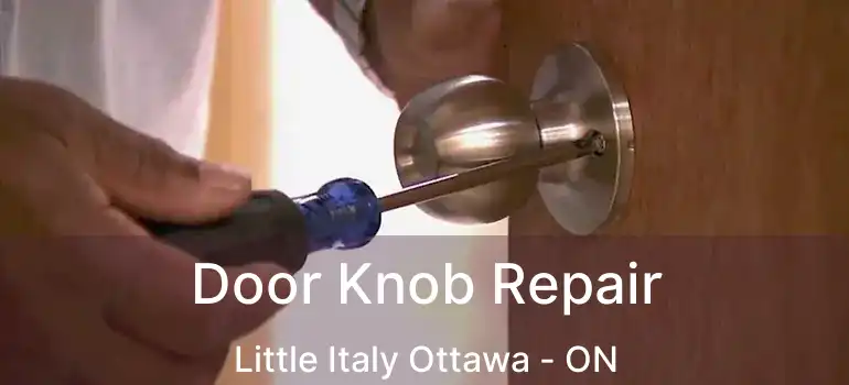  Door Knob Repair Little Italy Ottawa - ON