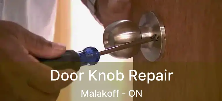 Door Knob Repair Malakoff - ON