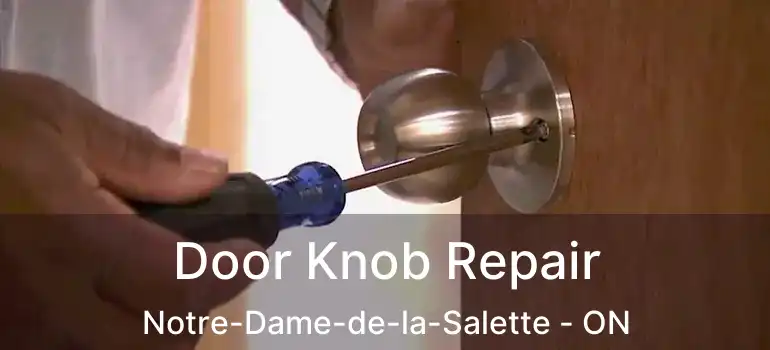  Door Knob Repair Notre-Dame-de-la-Salette - ON