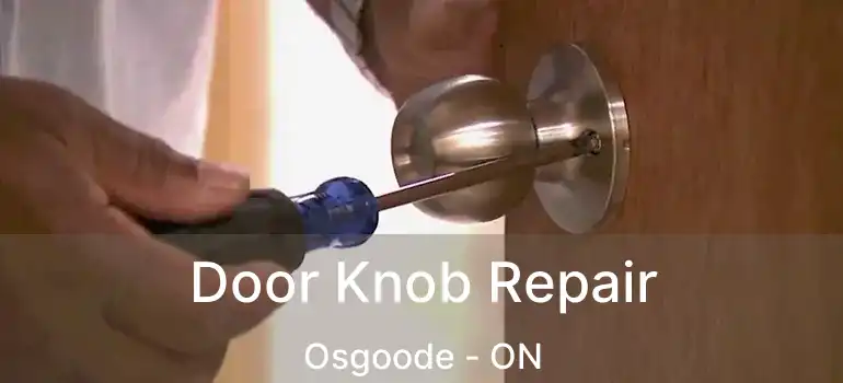  Door Knob Repair Osgoode - ON