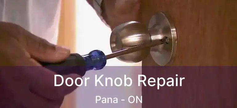 Door Knob Repair Pana - ON