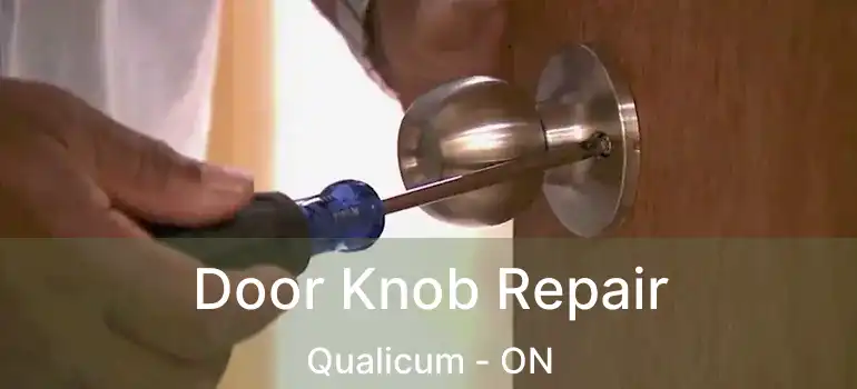  Door Knob Repair Qualicum - ON