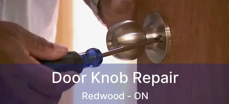 Door Knob Repair Redwood - ON