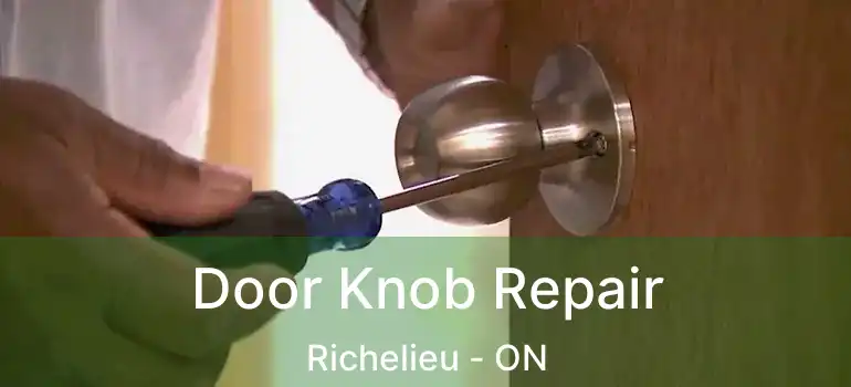 Door Knob Repair Richelieu - ON