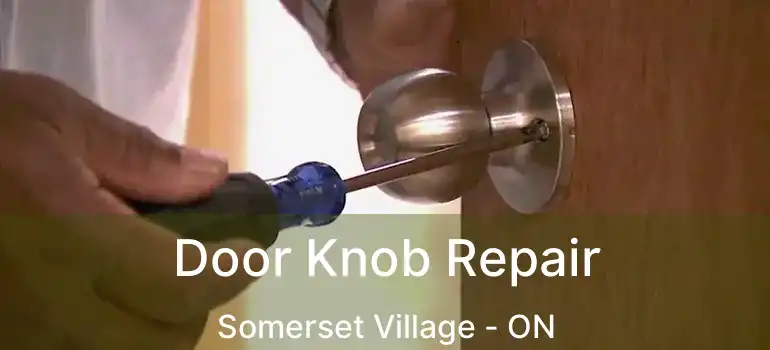  Door Knob Repair Somerset Village - ON