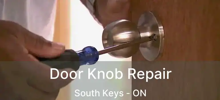  Door Knob Repair South Keys - ON