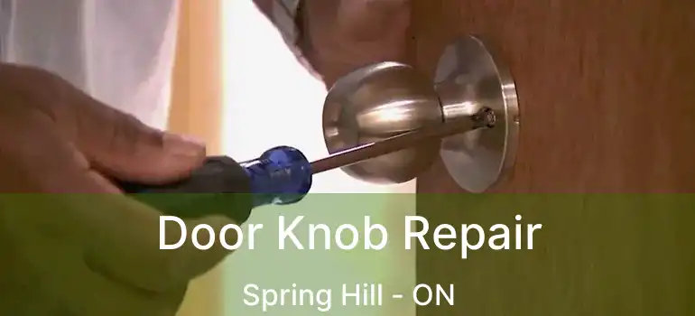 Door Knob Repair Spring Hill - ON