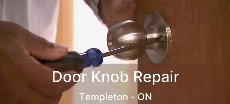 Door Knob Repair Templeton - ON