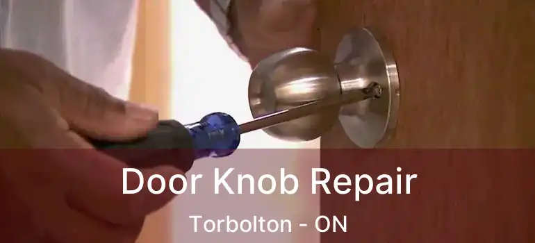 Door Knob Repair Torbolton - ON