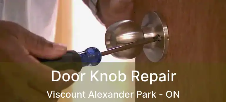 Door Knob Repair Viscount Alexander Park - ON