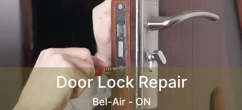  Door Lock Repair Bel-Air - ON