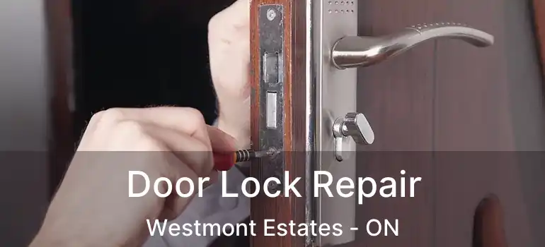  Door Lock Repair Westmont Estates - ON