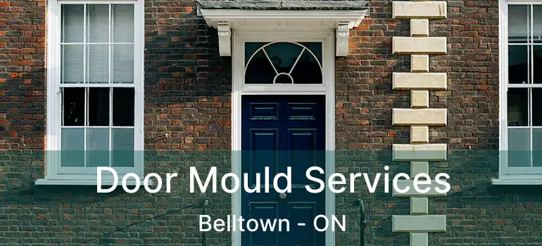Door Mould Services Belltown - ON