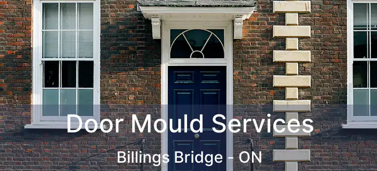 Door Mould Services Billings Bridge - ON
