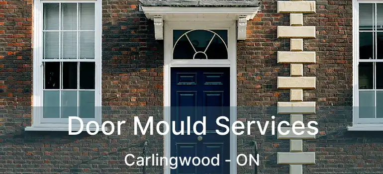 Door Mould Services Carlingwood - ON