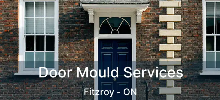 Door Mould Services Fitzroy - ON