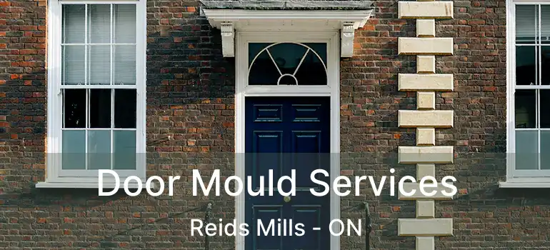 Door Mould Services Reids Mills - ON
