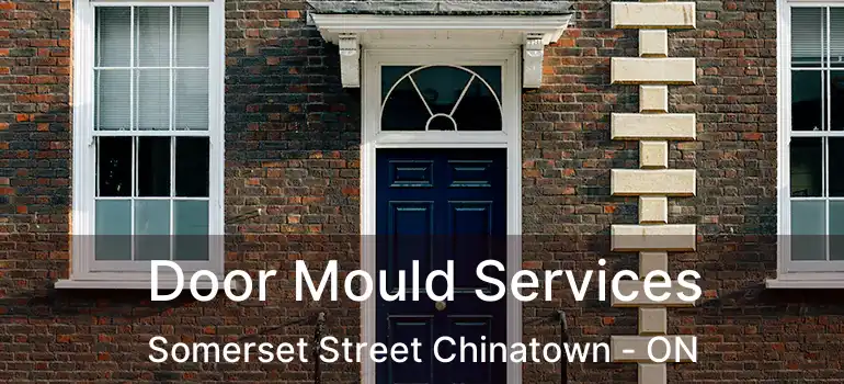Door Mould Services Somerset Street Chinatown - ON