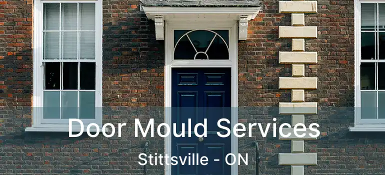Door Mould Services Stittsville - ON