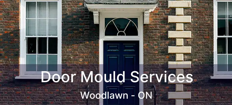 Door Mould Services Woodlawn - ON