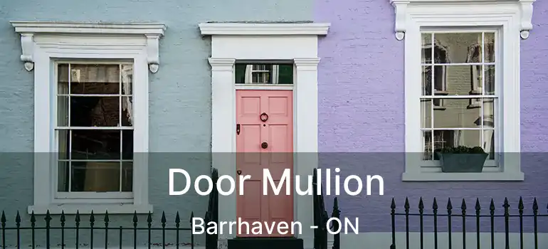 Door Mullion Barrhaven - ON