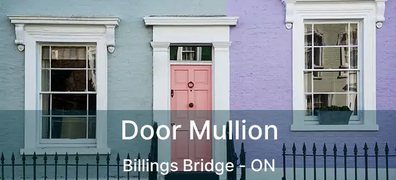 Door Mullion Billings Bridge - ON