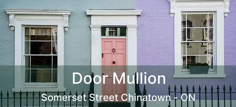  Door Mullion Somerset Street Chinatown - ON