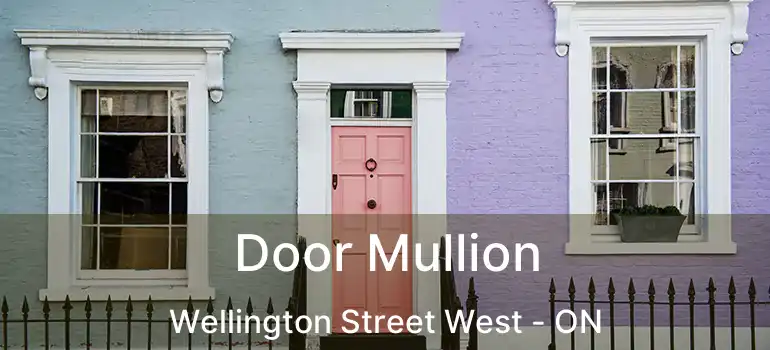 Door Mullion Wellington Street West - ON